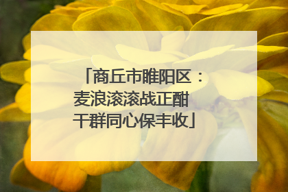 商丘市睢阳区：麦浪滚滚战正酣 干群同心保丰收